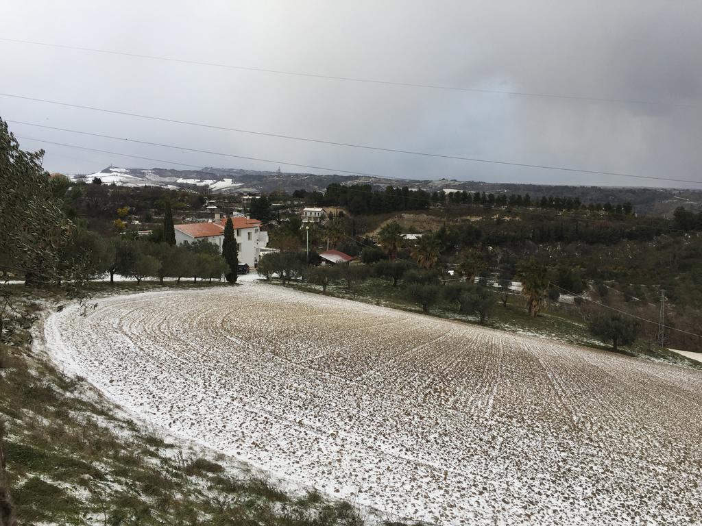 Le Limonaie A Mare Villa San Benedetto del Tronto Bagian luar foto